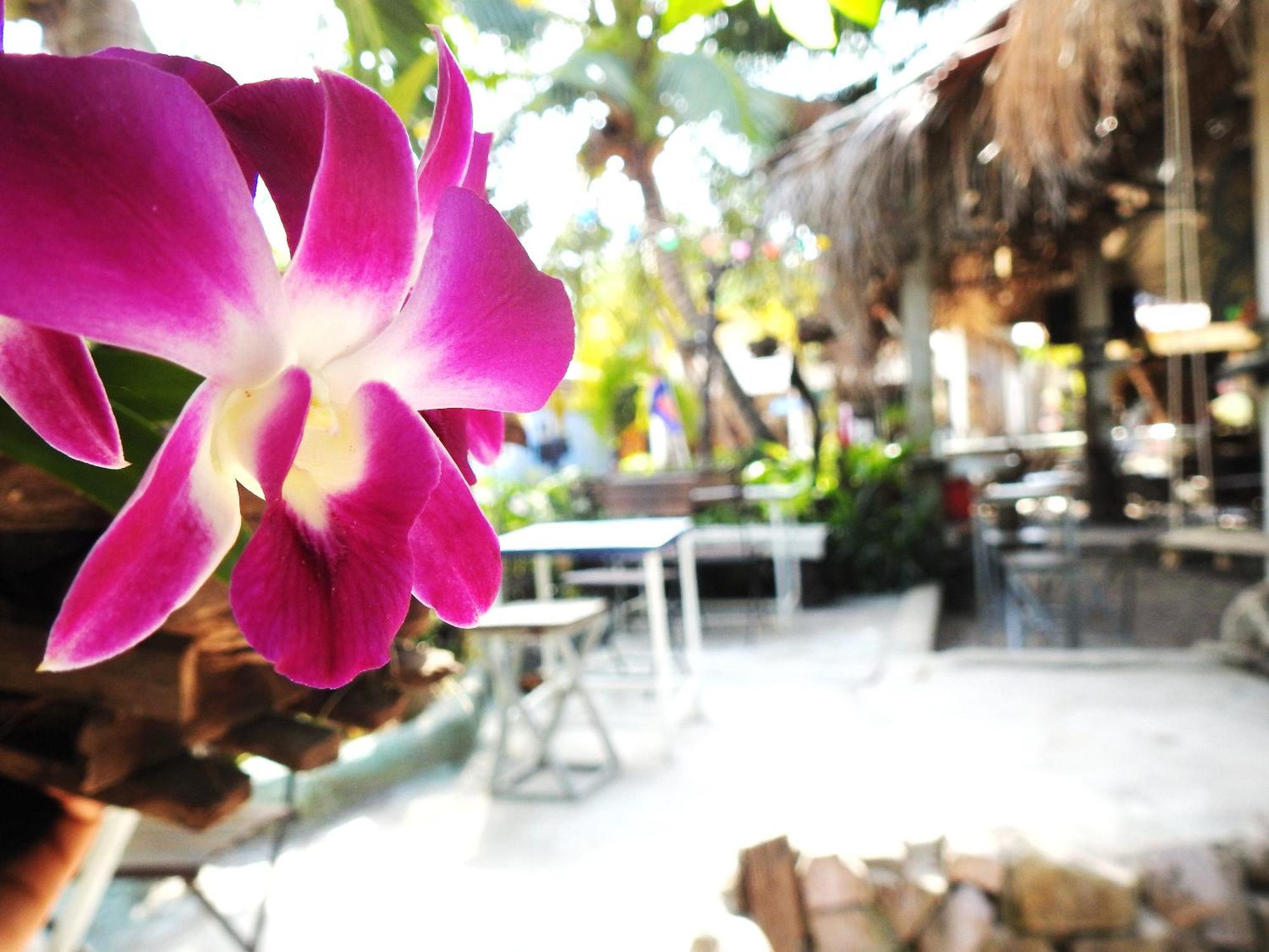 Spicy23 - M' Pai Bay Hostel Sihanoukville Ngoại thất bức ảnh
